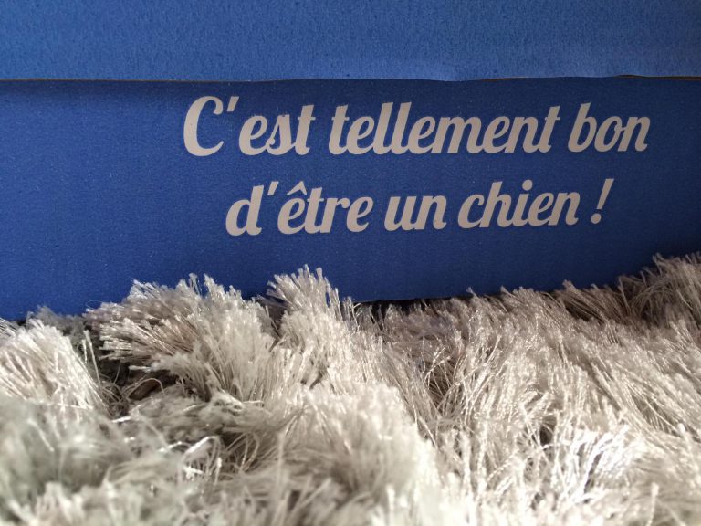 woufbox-mars2014-1