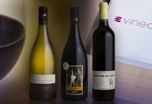 Un vin blanc dense et parfumé, et 2 vins rouges de caractère : la sélection de Franck Thomas pour une VineaBox estivale.