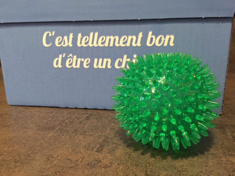 woufbox-decembre2014