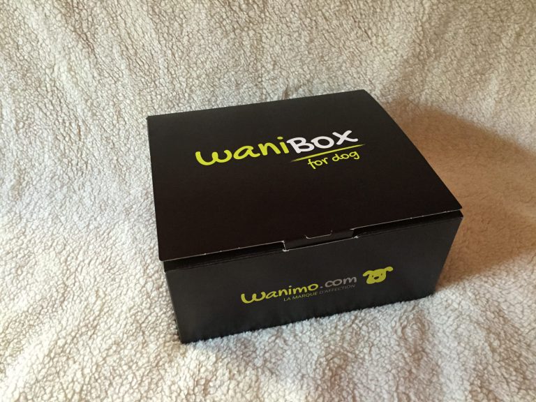 wanibox-dog-juin2015