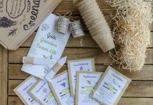 Greenabox de juin: Saveurs d'été