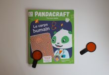 Pandacraft Octobre 2018