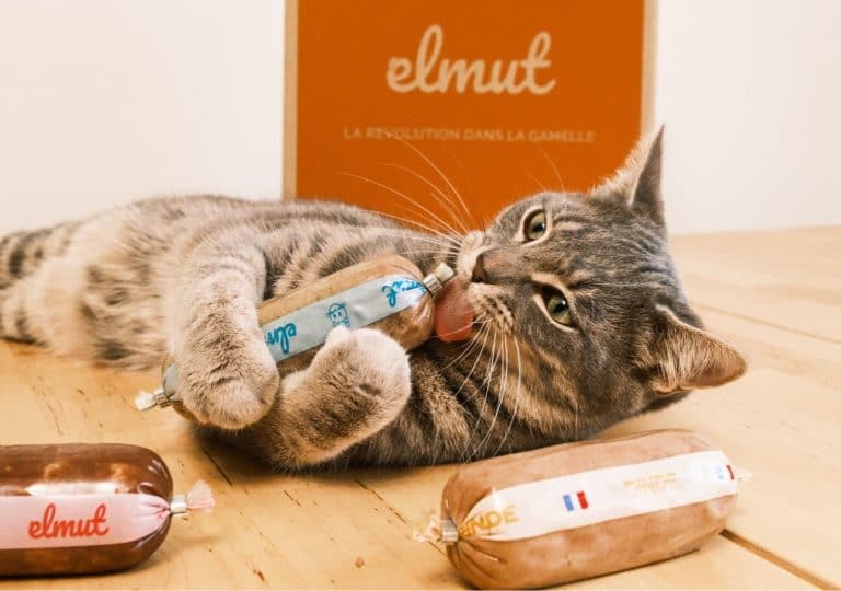 Elmut pour chat