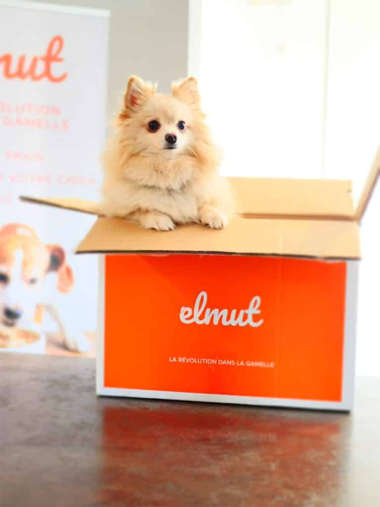 Elmut pour chien
