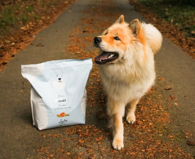 Un chien et son paquet de croquettes Japhy