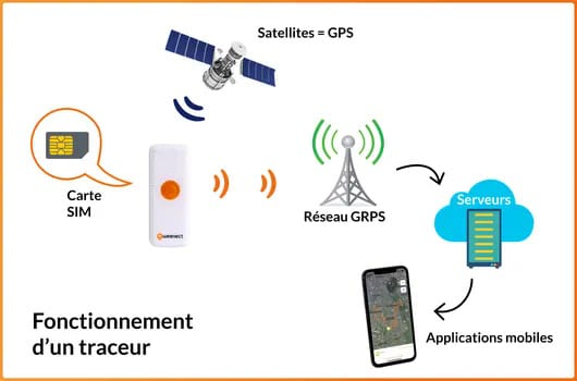 GPS pour chien, avec ou sans abonnement
