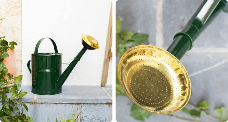 Arrosoir galvanisé 5L pour les amoureuses du jardinage