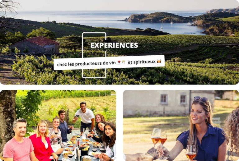 Une expérience de dégustation de vin avec Rue des Vignerons