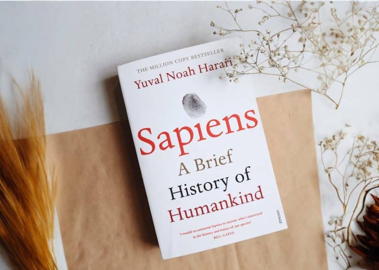 Livre Sapiens: Une brève histoire de l'humanité