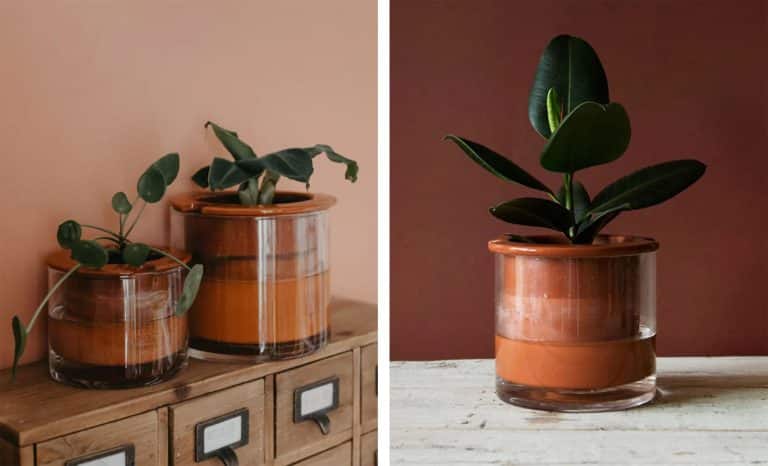 Un pot en céramique intelligent Wet Pot pour les amoureuses de plantes