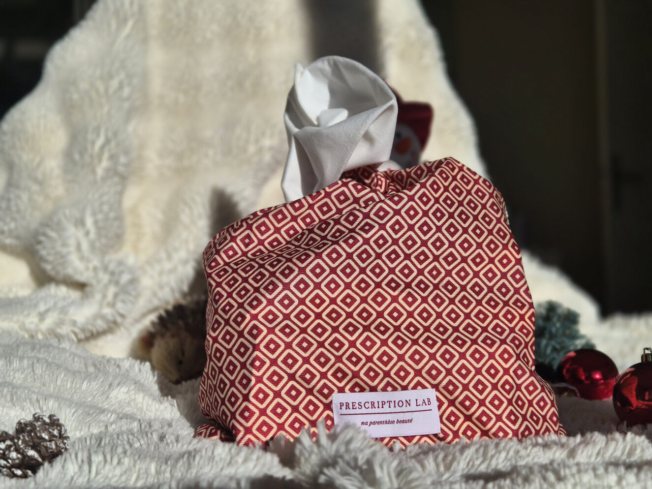 La Merveilleuse Hotte de Noël Prescription Lab 2026 fermée