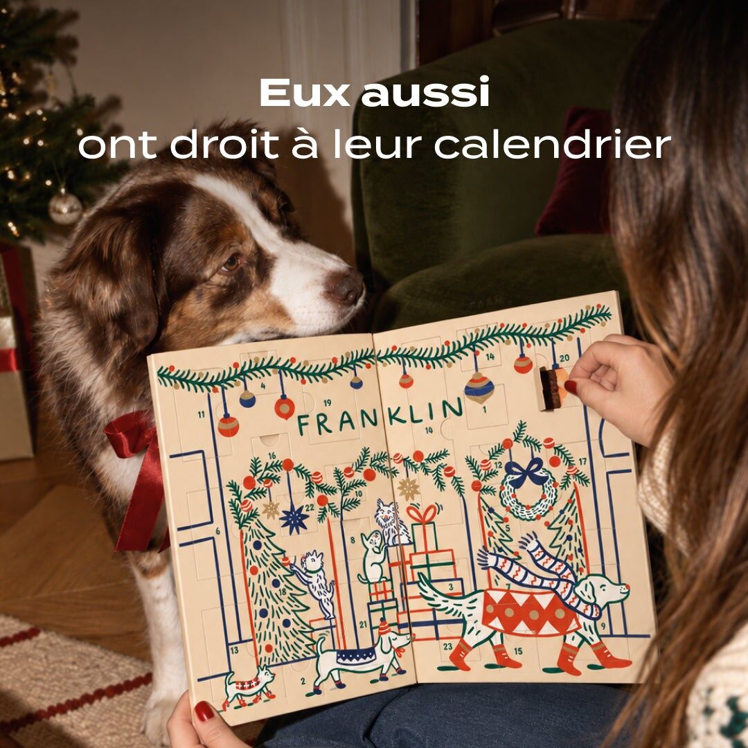 Un chien berger australien regarde une femme ouvrir une case du calendrier de l’Avent Franklin 2026 pour chien, devant un sapin de Noël