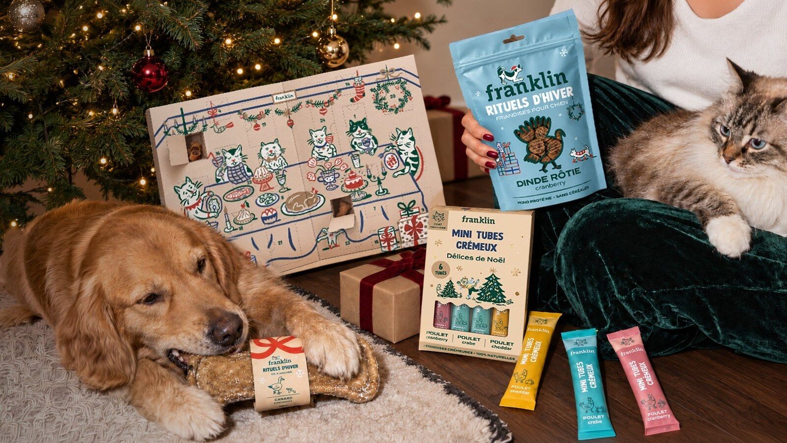 Un golden retriever mâchonne un os Franklin au pied d’un sapin, à côté du calendrier de l’Avent Franklin, de mini tubes crémeux et d’un chat sur les genoux de sa maîtresse