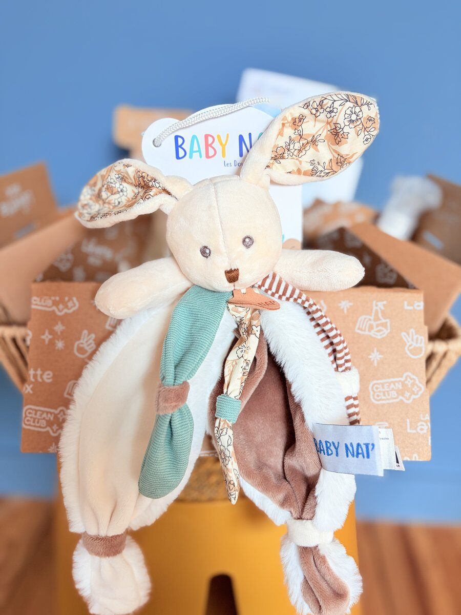 Doudou lapin Baby Nat' dans la box bébé Lavette Box