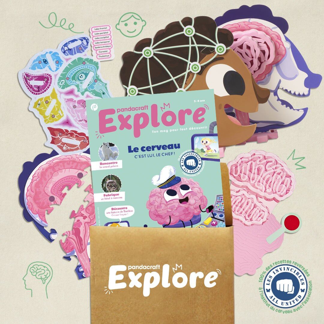 Kit Pandacraft Explore Le cerveau, avec son magazine, sa maquette de tête et ses éléments en carton