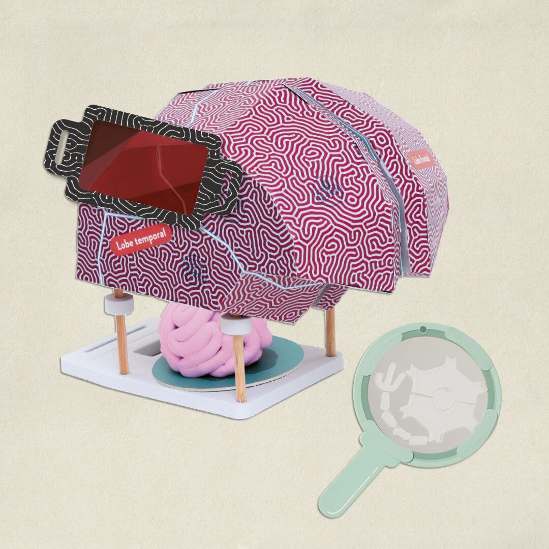 Maquette anatomique de cerveau rose avec loupe à filtre rouge, kit Pandacraft Makers pour les 8-12 ans