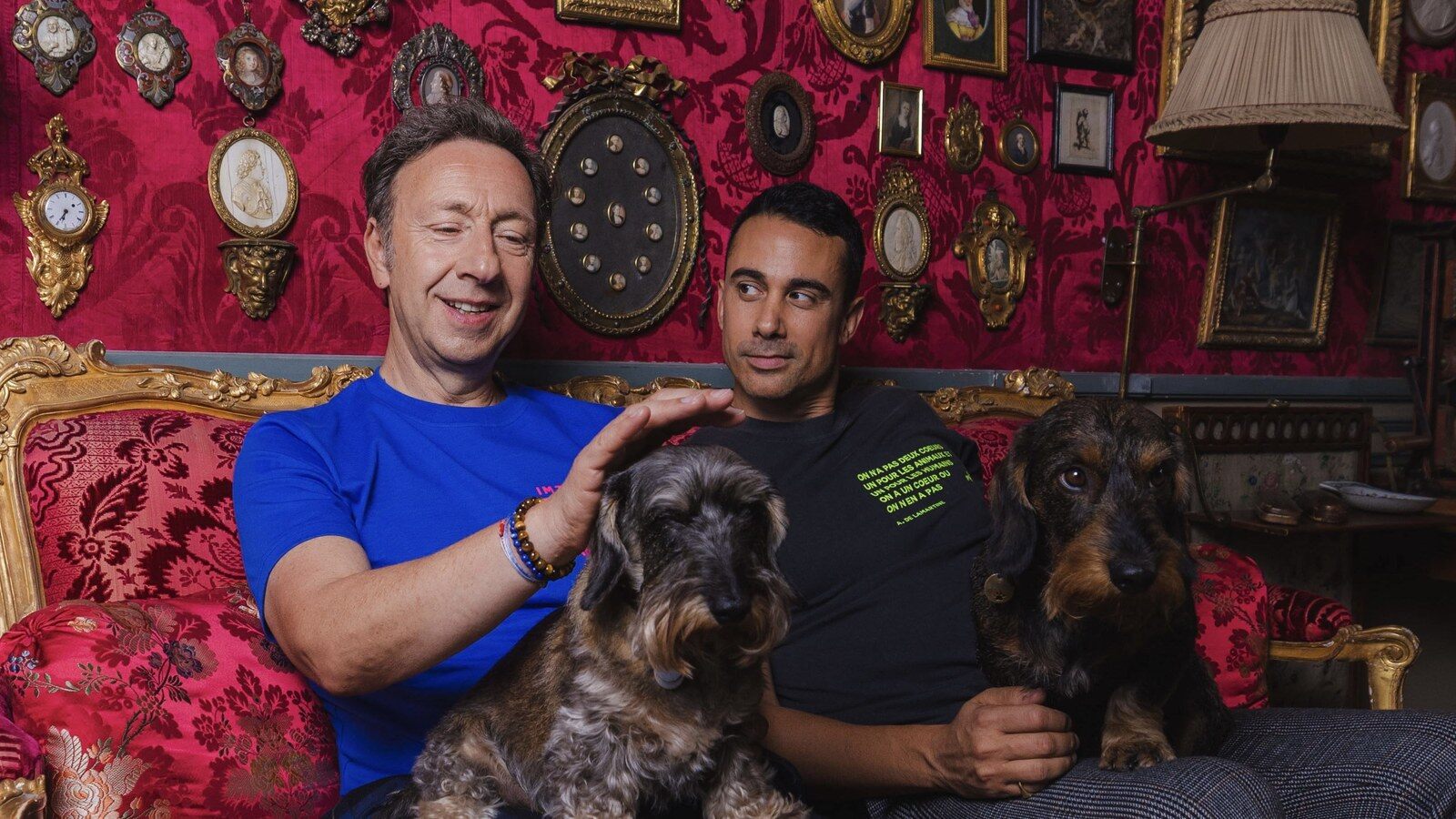 Stéphane Bern et Yori Bailleres sur un canapé rouge de château avec leurs deux teckels à poil dur